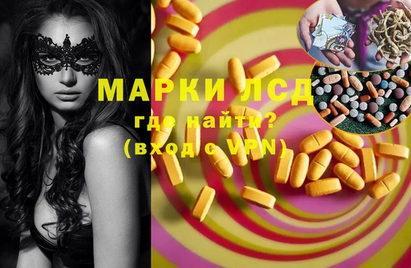 ПСИЛОЦИБИНОВЫЕ ГРИБЫ Верхний Тагил