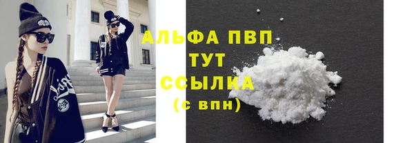 ПСИЛОЦИБИНОВЫЕ ГРИБЫ Верхний Тагил