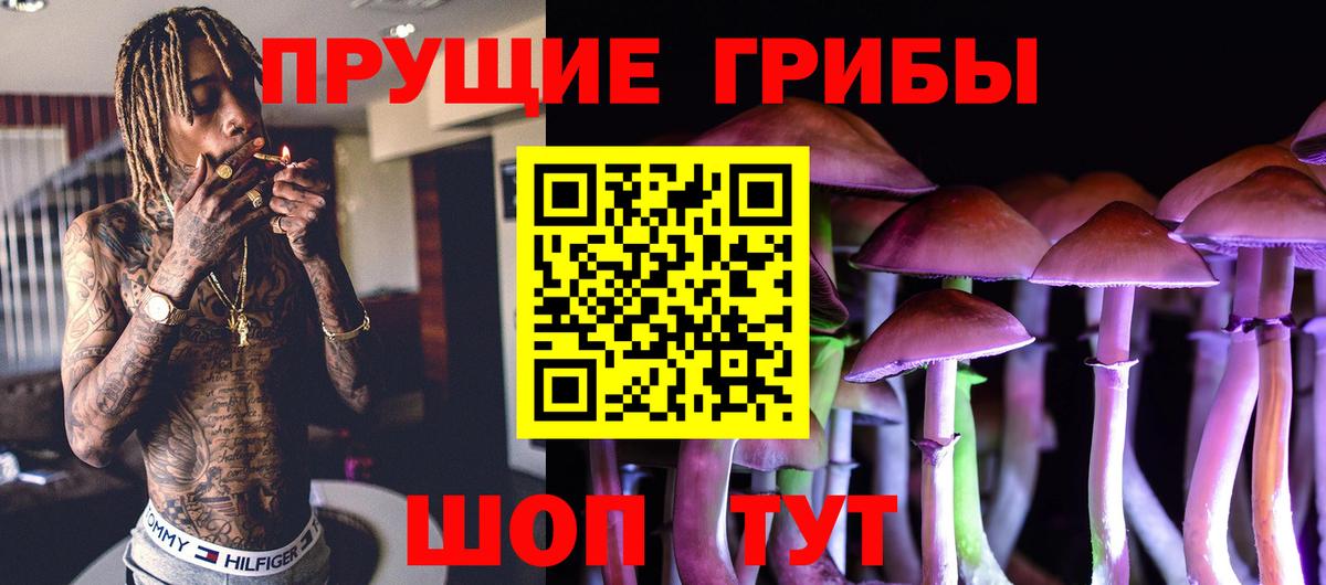 Галлюциногенные грибы Magic Shrooms Мончегорск