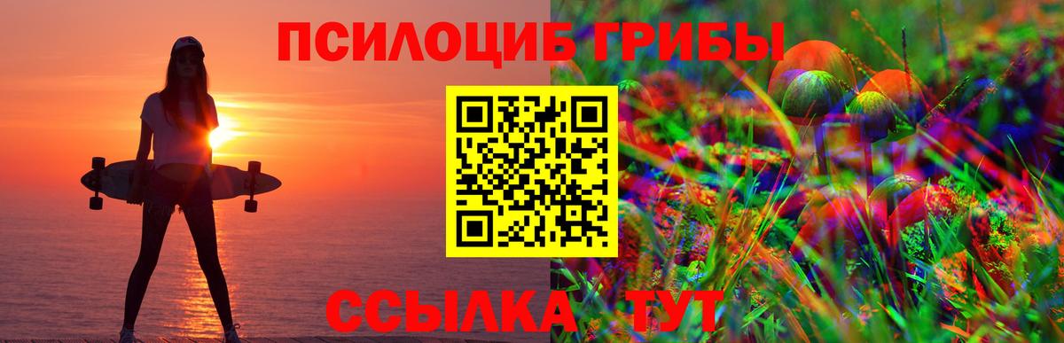 Мончегорск  Галлюциногенные грибы ЛСД  Вход с VPN 